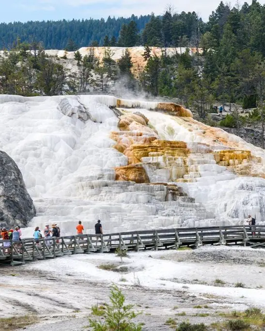 thumb-things-to-do-cody-yellowstone-ours-shuttle-service-lodging Yellowstone Tours & Shuttle Service